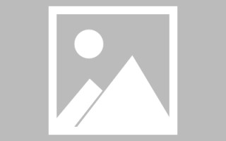 陆丰网页设计展示ppt下载（网页设计ppt汇报）